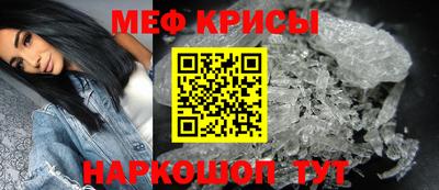 jwh Кингисепп