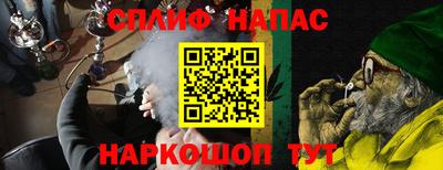 jwh Кингисепп