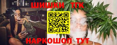 jwh Кингисепп