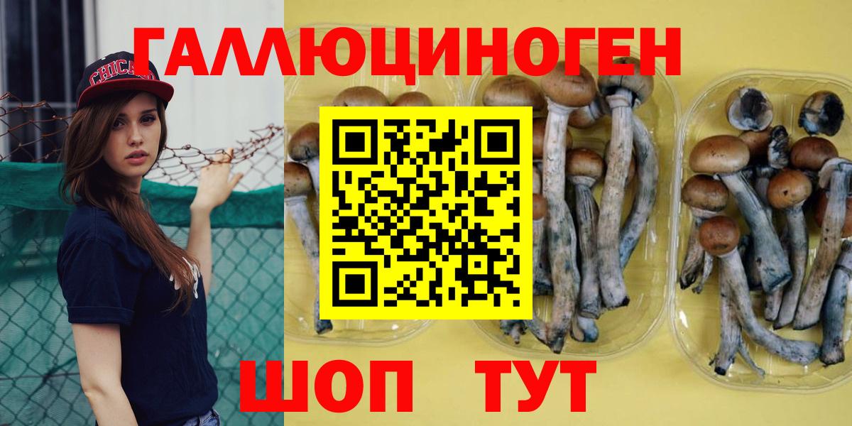 Псилоцибиновые грибы Psilocybine cubensis  Галлюциногенные грибы MAGIC MUSHROOMS  Донской  Вход с VPN 