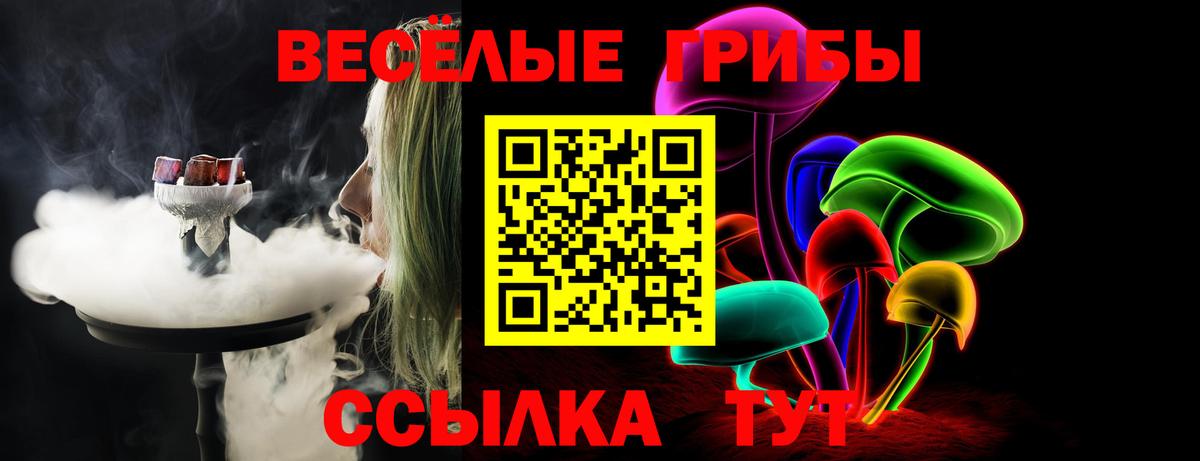 Галлюциногенные грибы Psilocybine cubensis Донской